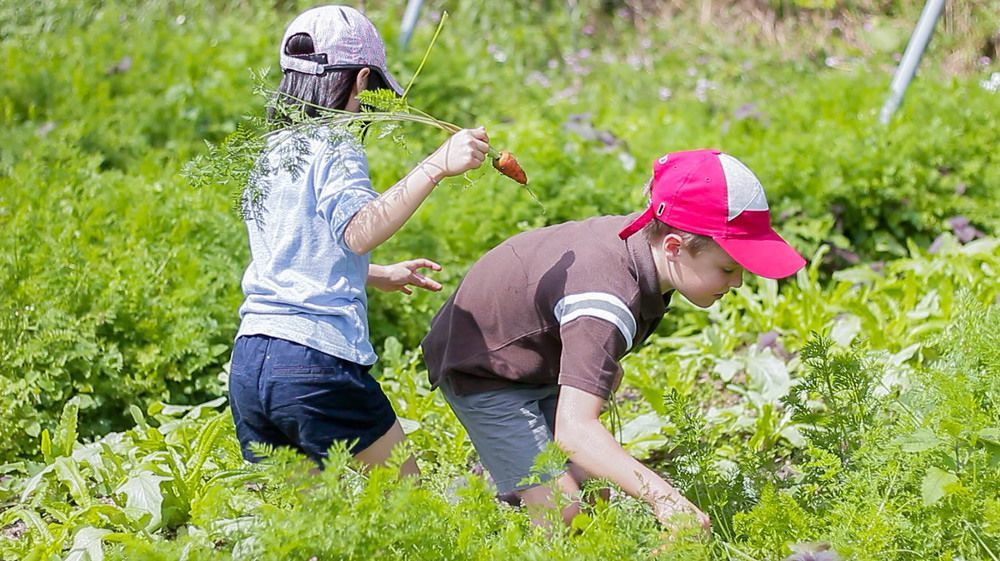 Tou-Cheng Leisure Farm Hotel Toucheng Esterno foto