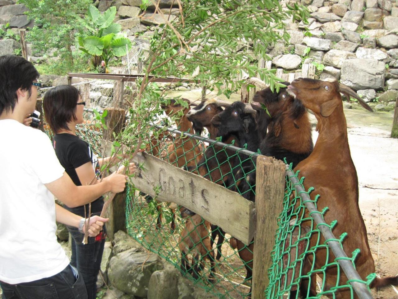 Tou-Cheng Leisure Farm Hotel Toucheng Esterno foto