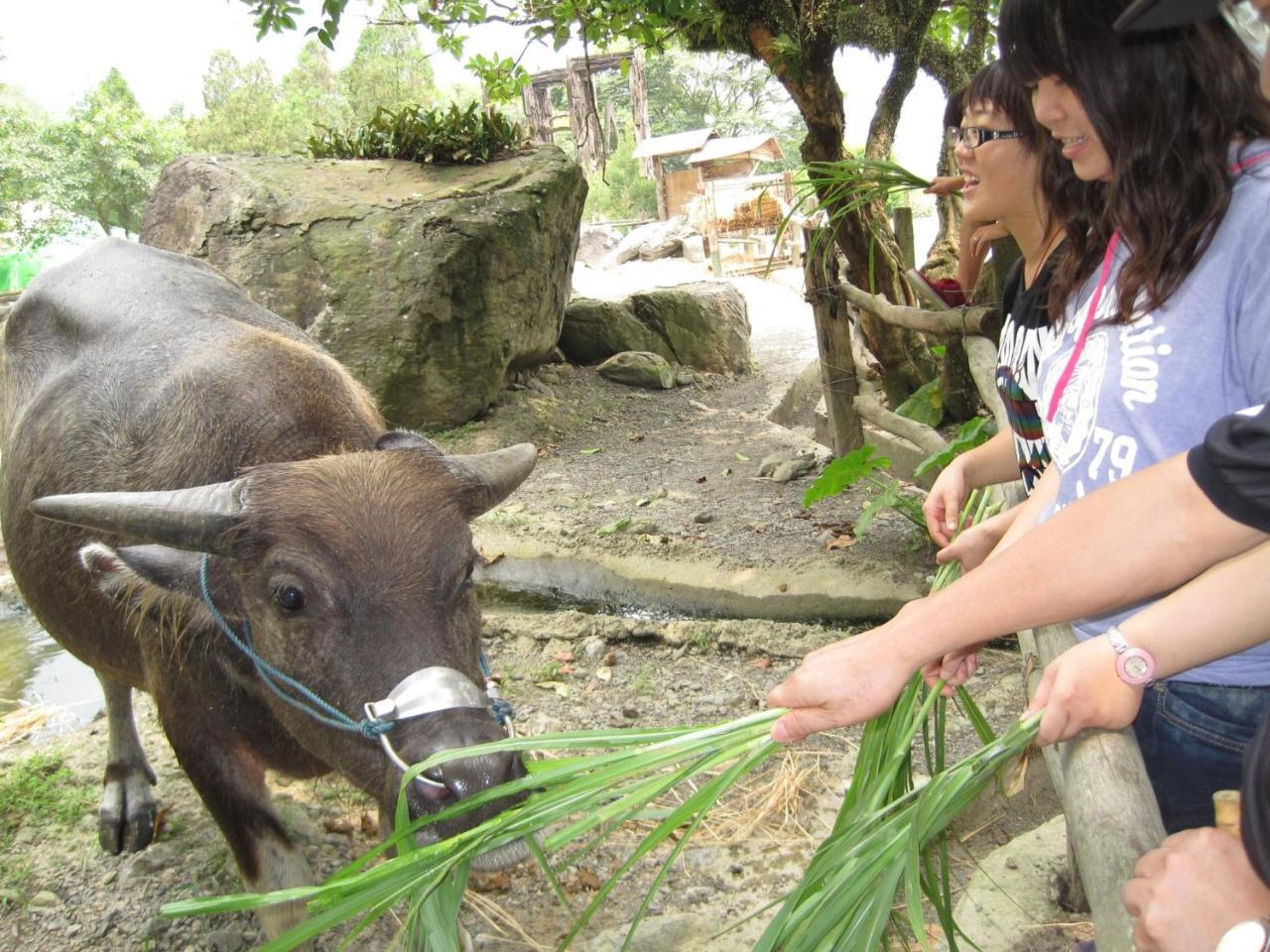Tou-Cheng Leisure Farm Hotel Toucheng Esterno foto